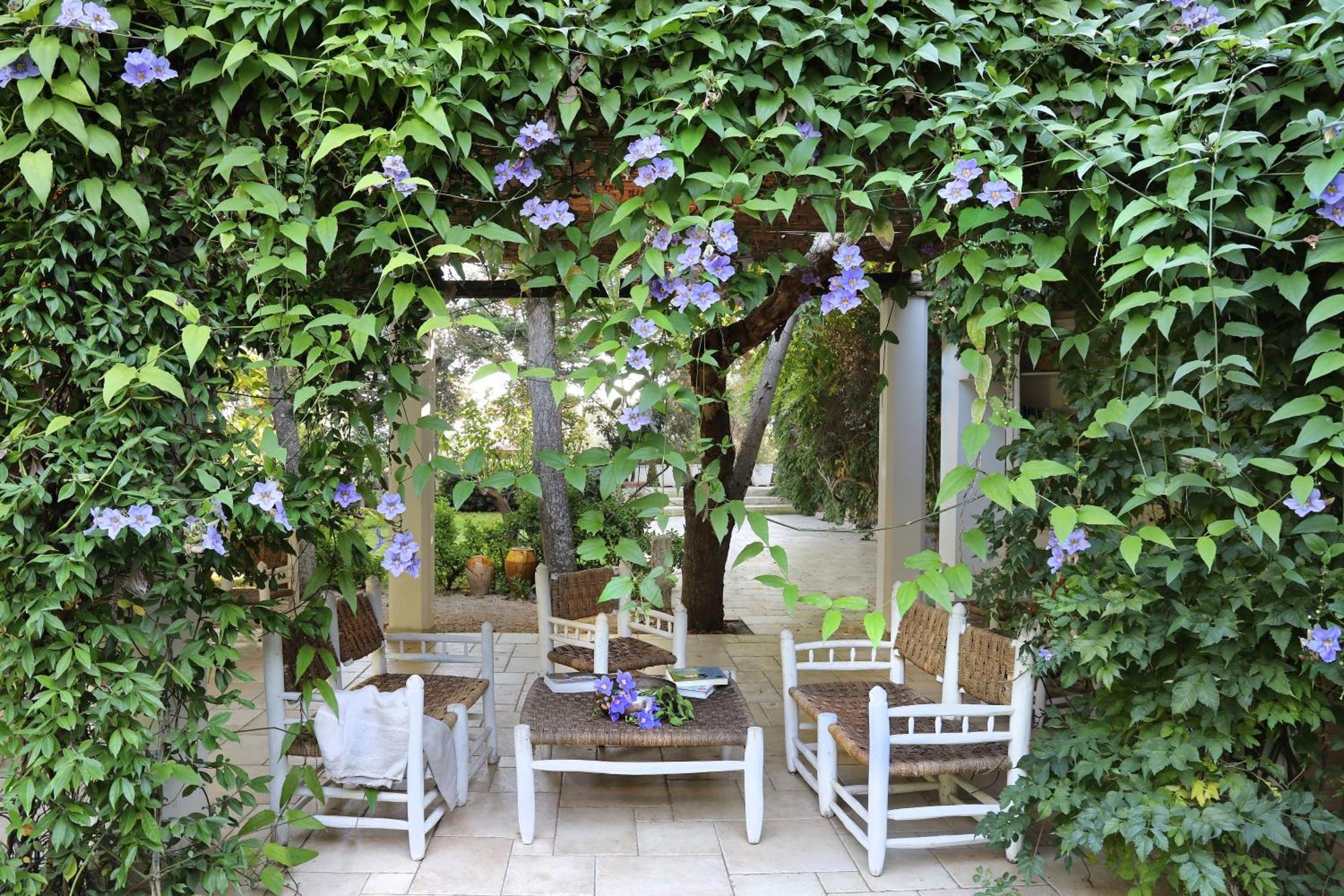 Maison D'Enrì Gallipoli Ngoại thất bức ảnh