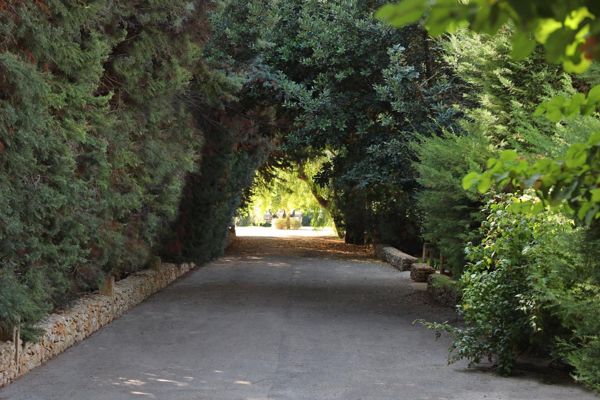 Maison D'Enrì Gallipoli Ngoại thất bức ảnh