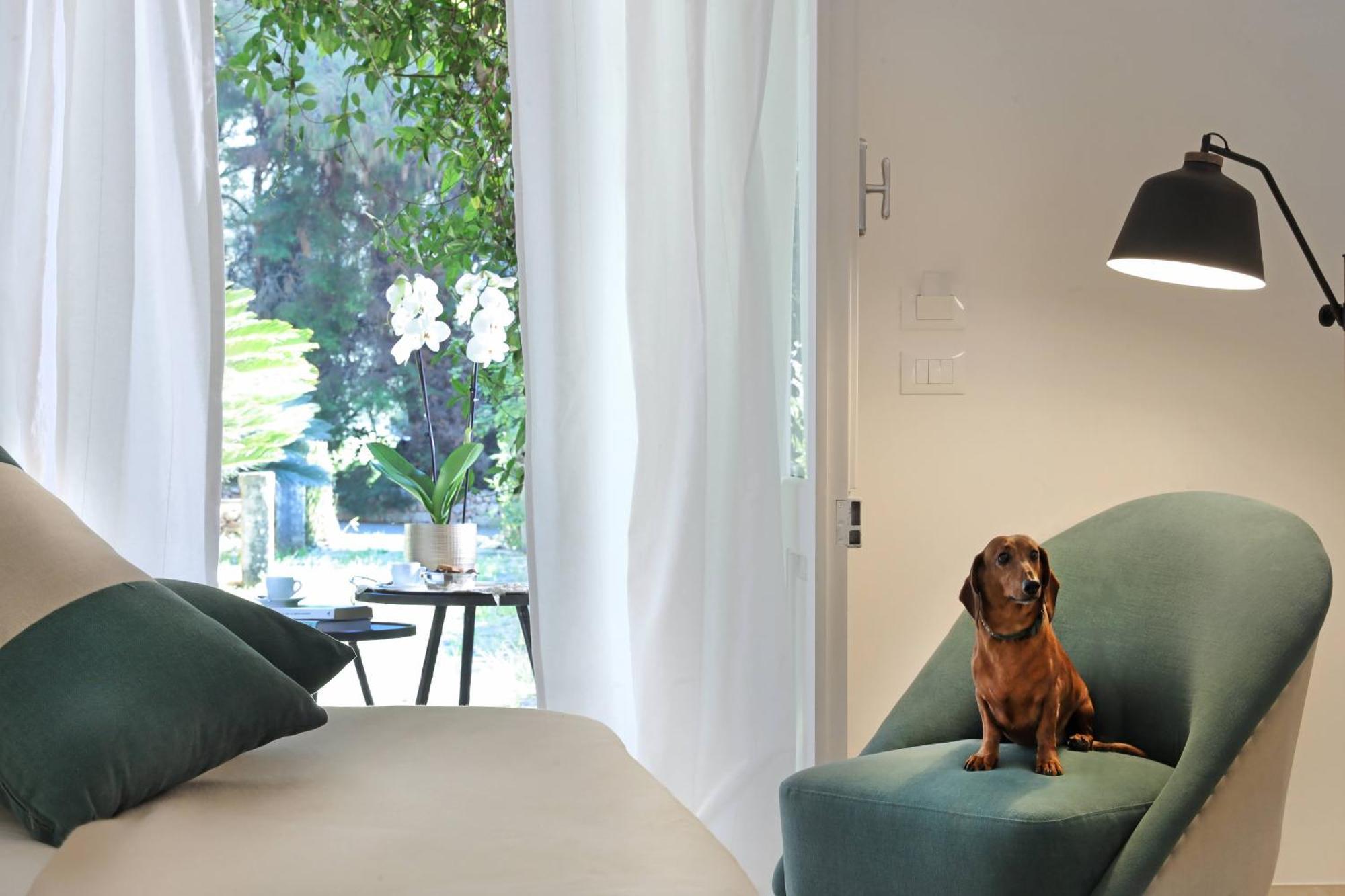 Maison D'Enrì Gallipoli Ngoại thất bức ảnh